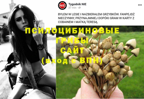 кокаин Алзамай