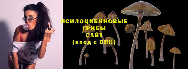 дурь Арсеньев