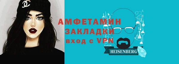 мет Алексин
