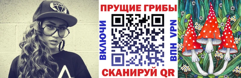 Галлюциногенные грибы Psilocybe  KRAKEN ТОР  Бахчисарай 