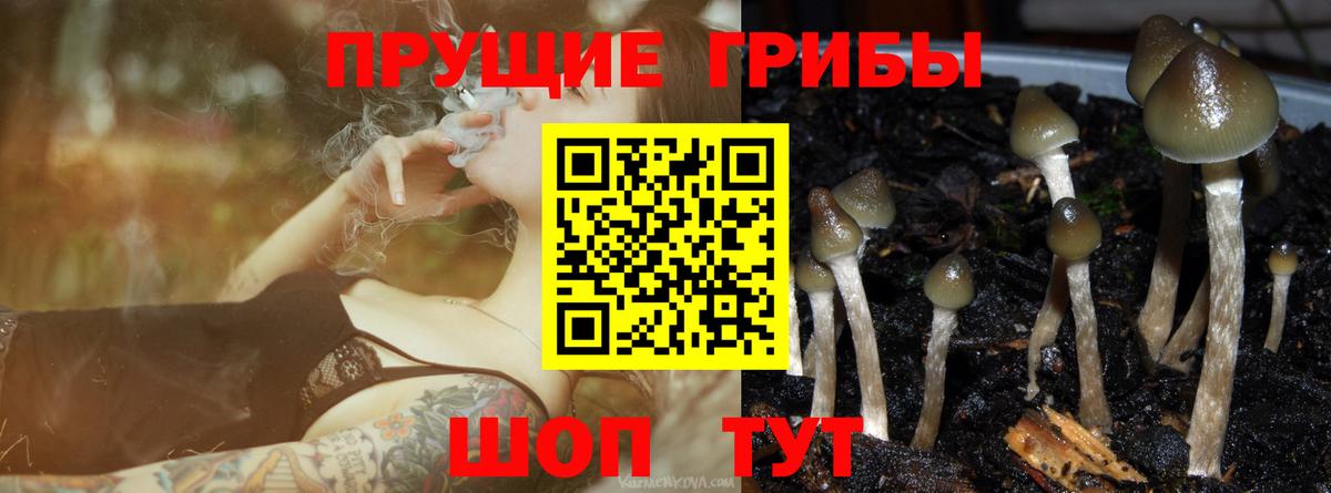 Галлюциногенные грибы GOLDEN TEACHER  Вход с VPN  купить  цена  Псилоцибиновые грибы прущие грибы  Бахчисарай 