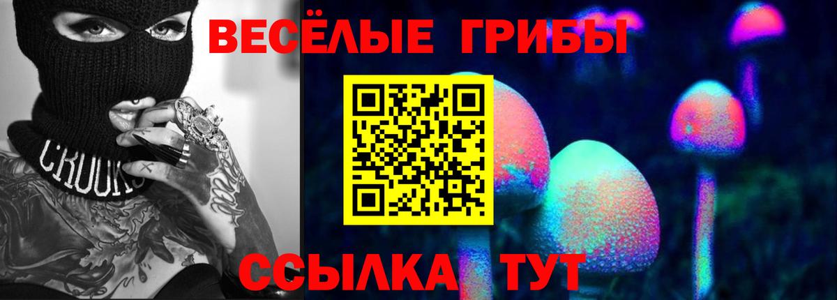 Псилоцибиновые грибы Psilocybe Бахчисарай